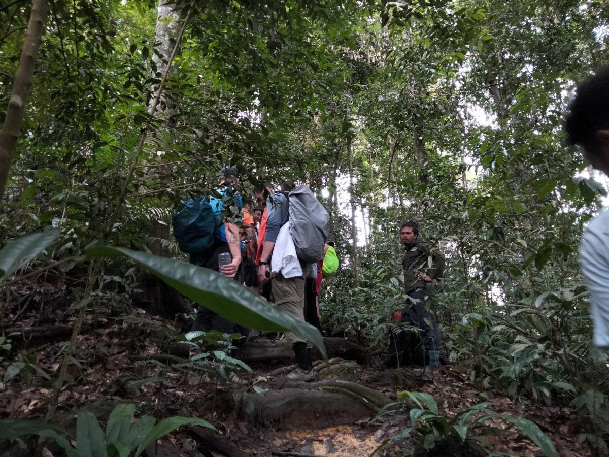 Asim Paris Guesthouse & Jungle Trekking Bukit Lawang Exteriör bild
