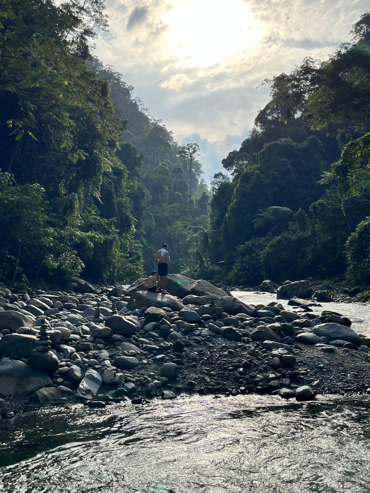 Asim Paris Guesthouse & Jungle Trekking Bukit Lawang Exteriör bild
