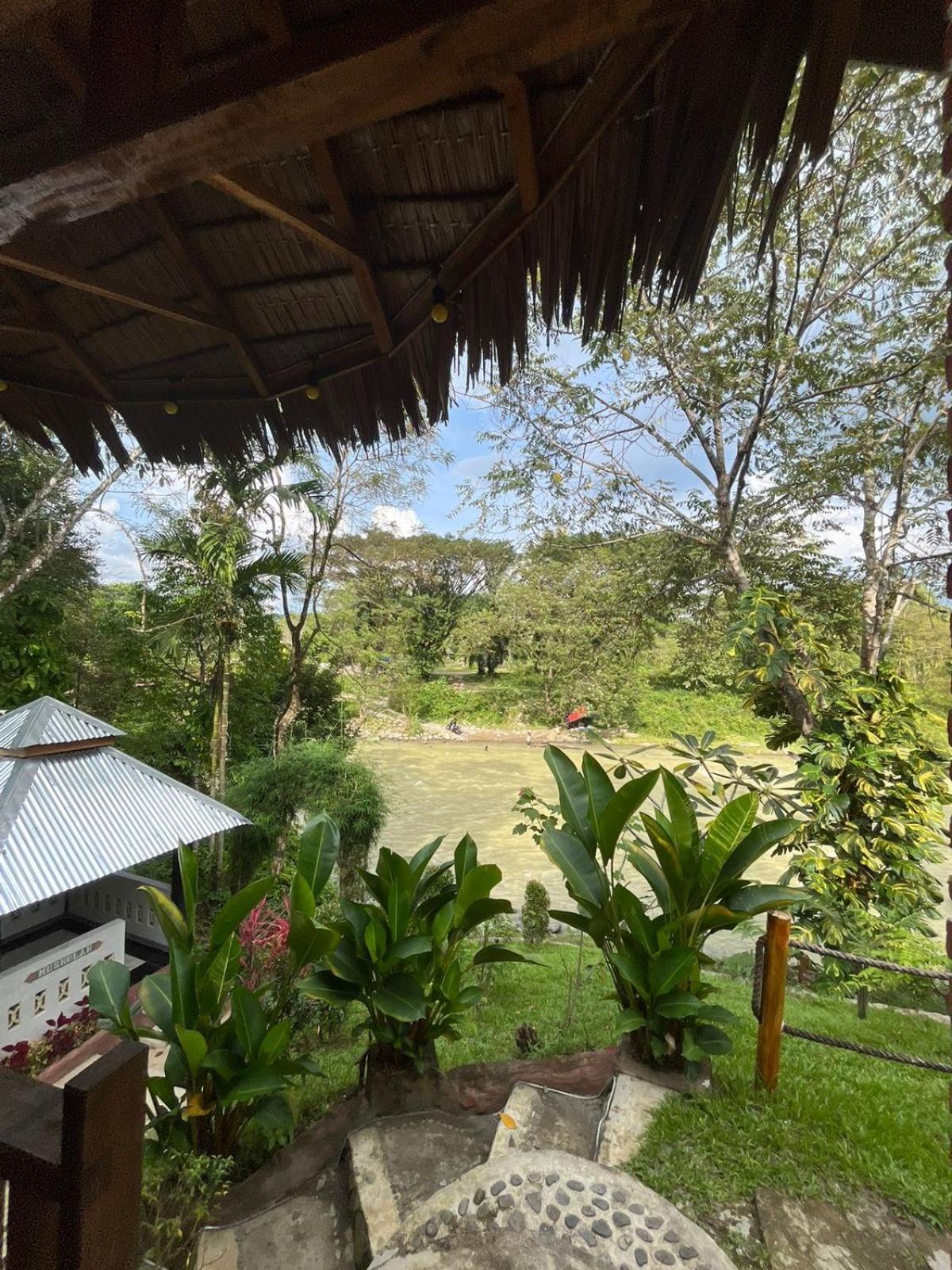 Asim Paris Guesthouse & Jungle Trekking Bukit Lawang Exteriör bild