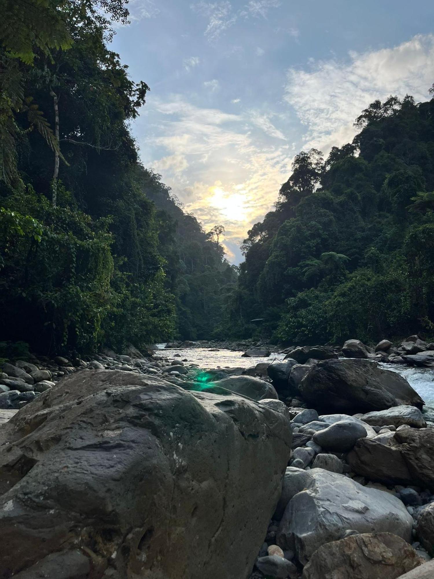 Asim Paris Guesthouse & Jungle Trekking Bukit Lawang Exteriör bild