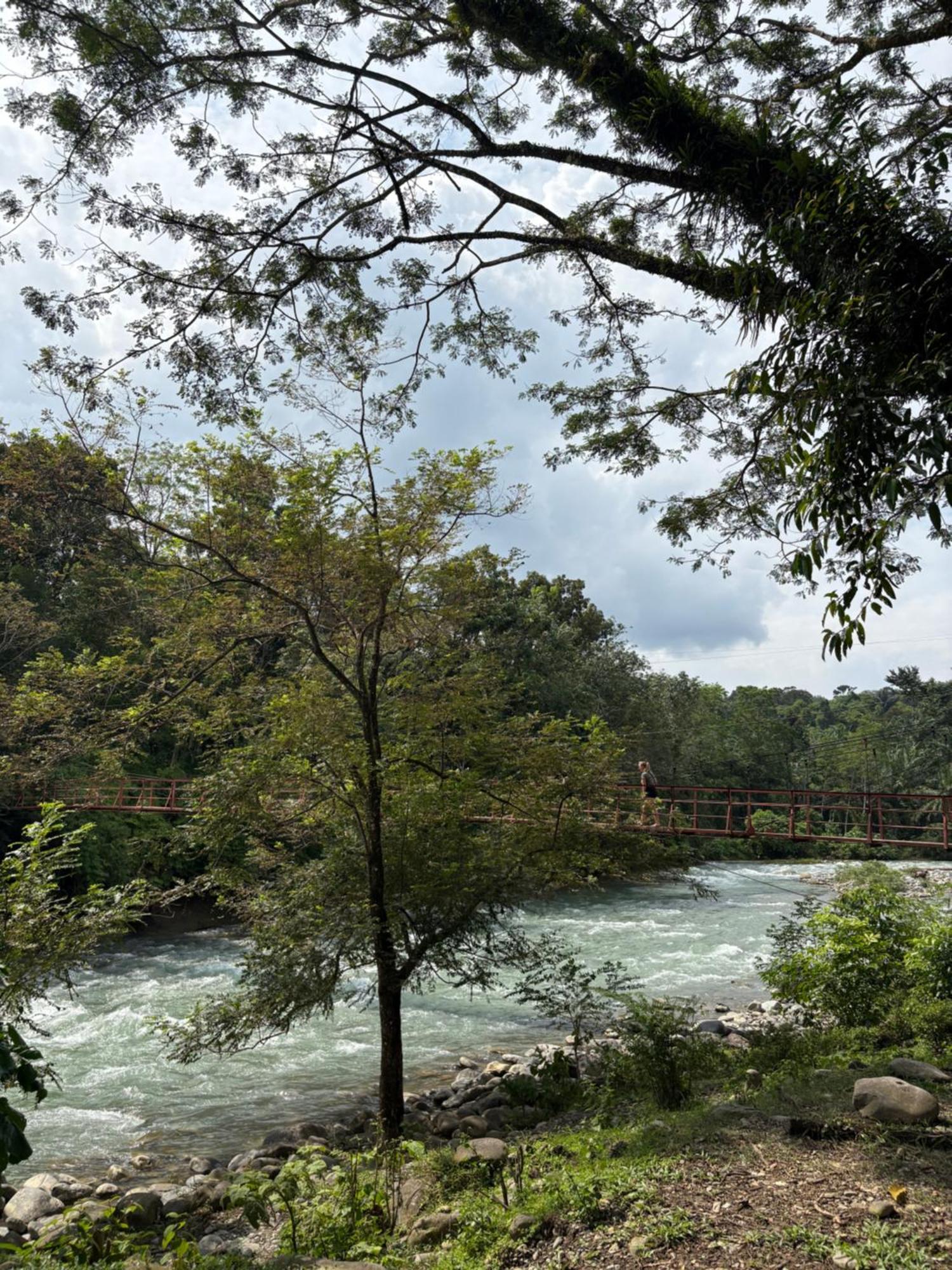 Asim Paris Guesthouse & Jungle Trekking Bukit Lawang Exteriör bild